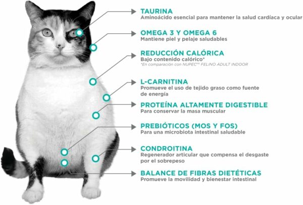NUPEC FELINO WEIGHT CARE 3 Kg - Imagen 2